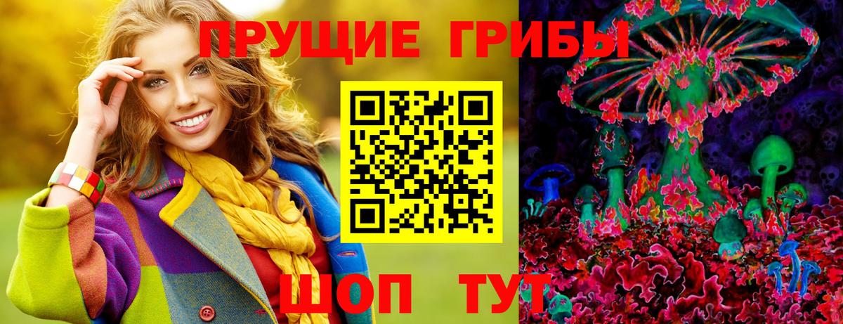 Псилоцибиновые грибы GOLDEN TEACHER Кувандык