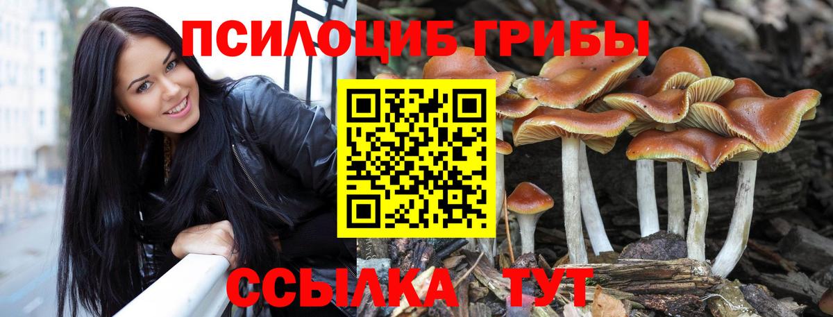 Галлюциногенные грибы Magic Shrooms  Вход с VPN  Кувандык 
